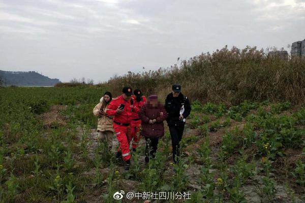 蜜桃精产国品一二三产区怎么用？新手常见问题与详细操作指南